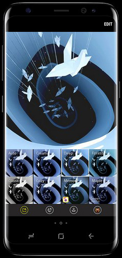 S8(31)